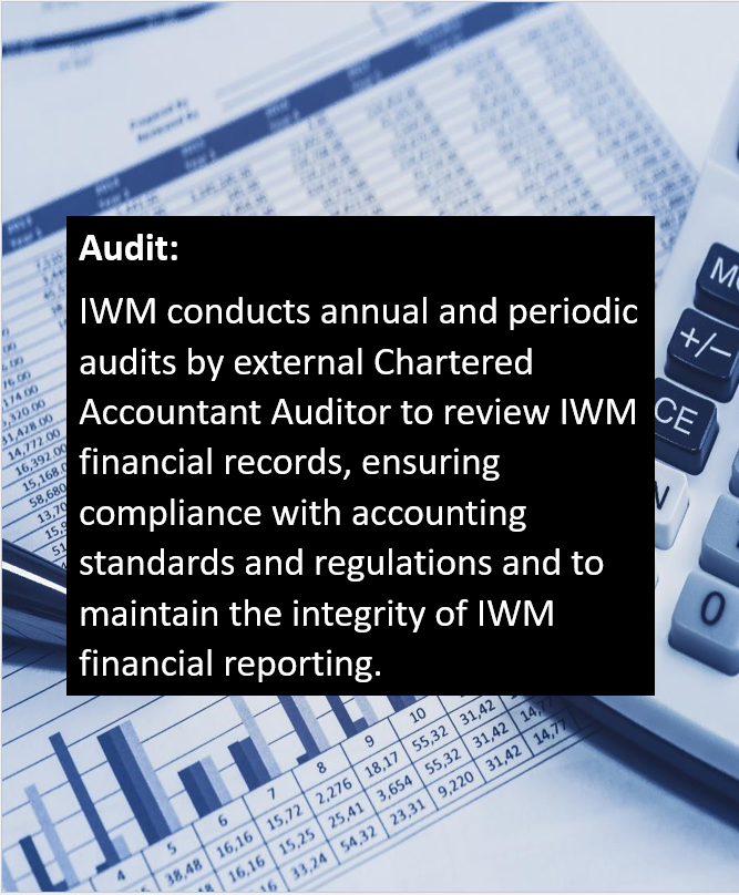 IWM Accounting System